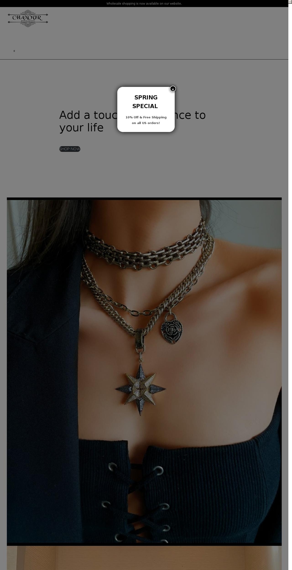 chanoursales.com — Shopify storefront screenshot