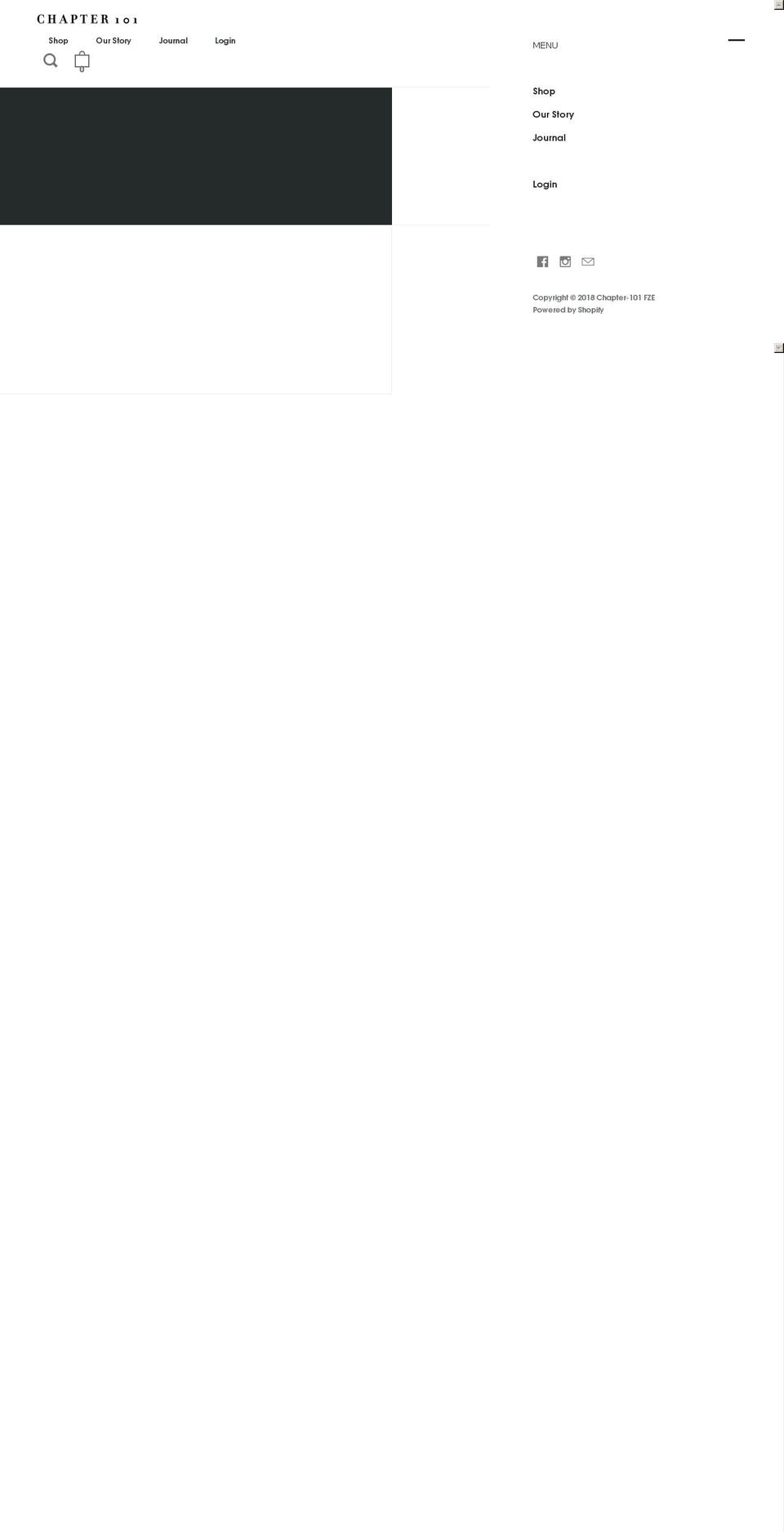 chapter-101.com — Shopify storefront screenshot