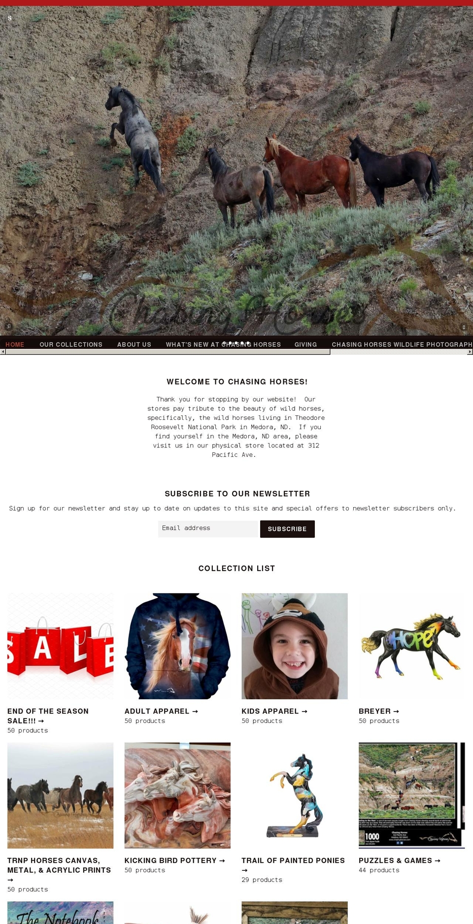 chasinghorses.com shopify website screenshot