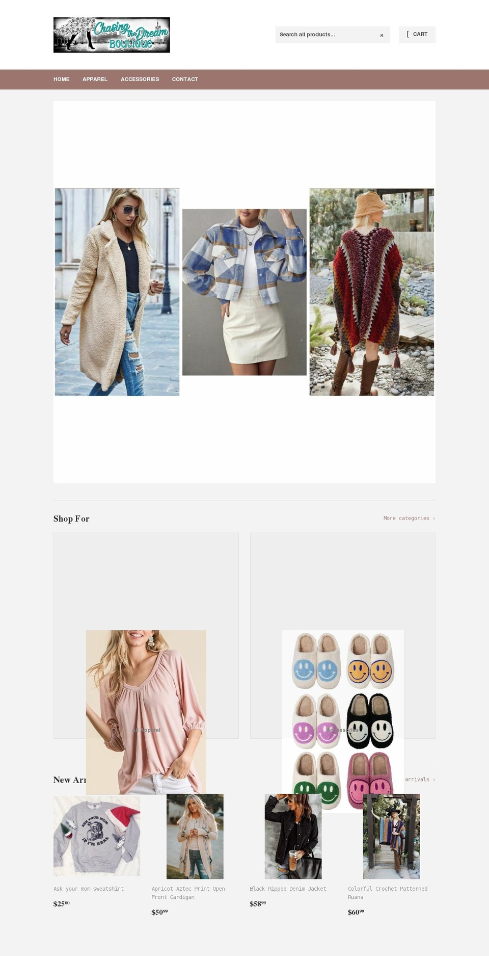 chasingthedreamboutique.com shopify website screenshot