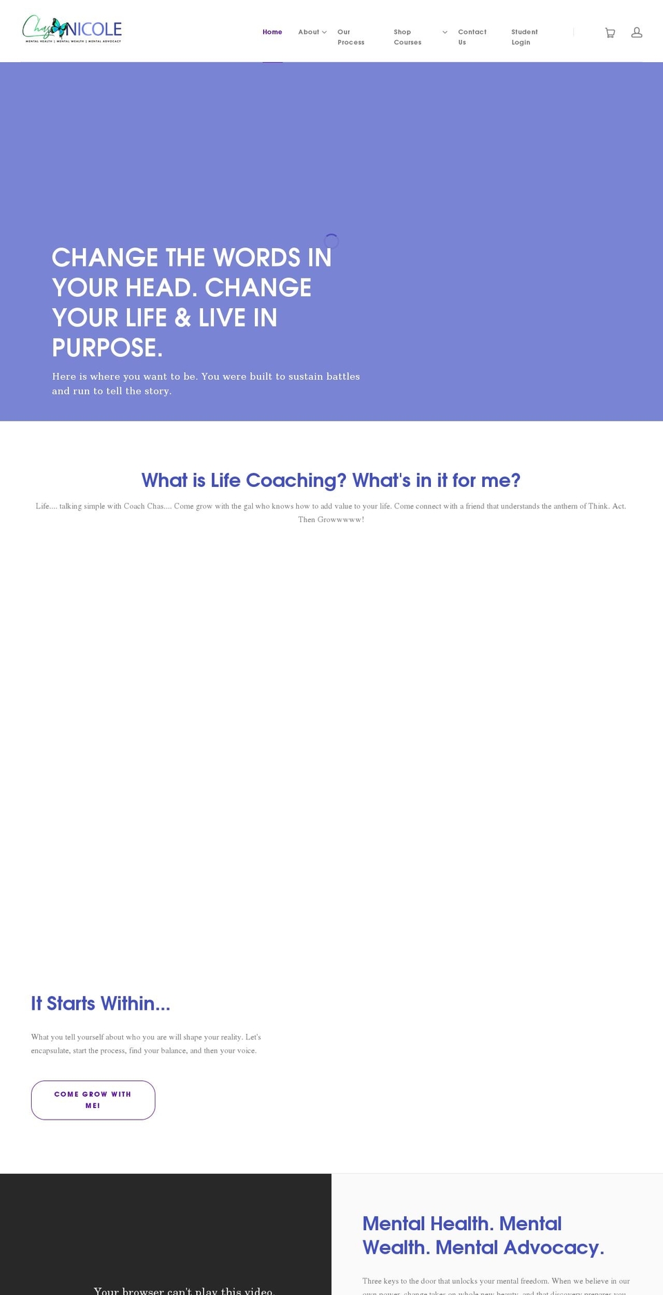 chasnicole.com shopify website screenshot