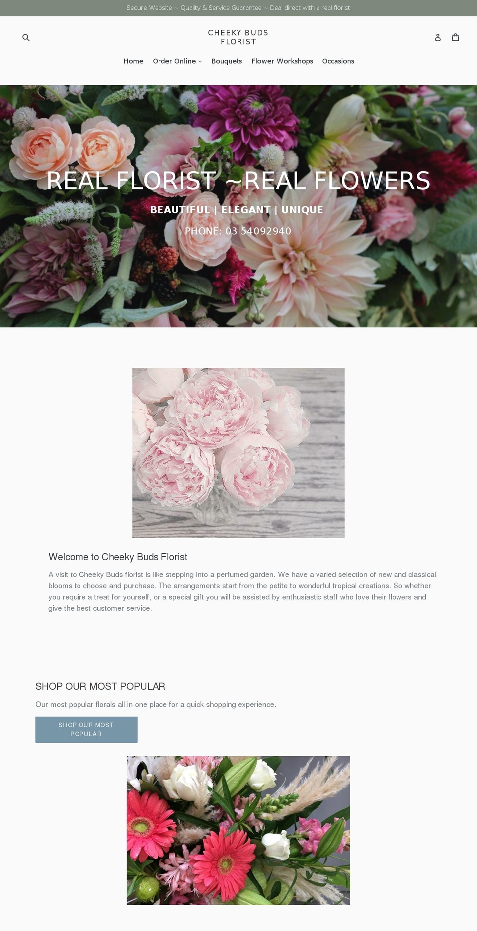 cheekybuds.com.au shopify website screenshot
