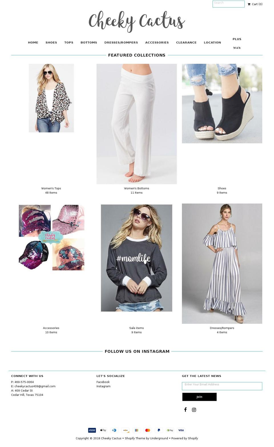 cheekycactus.com — Shopify storefront screenshot