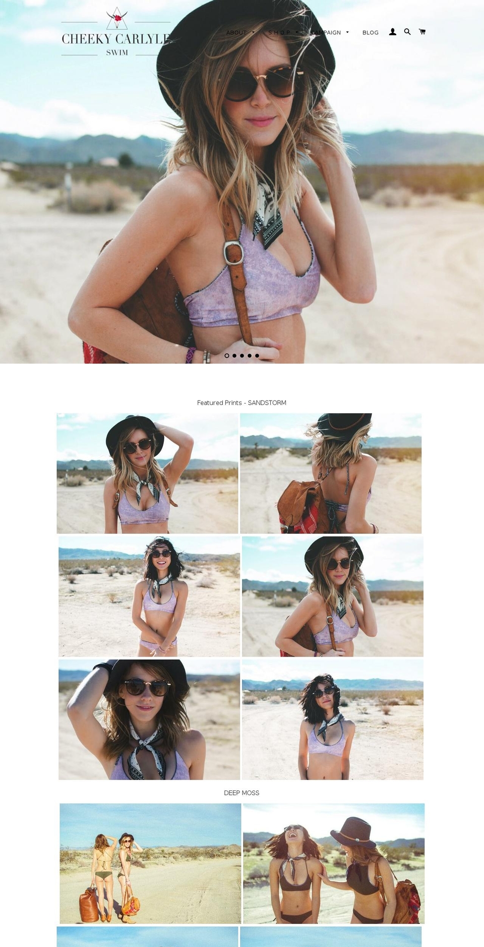 cheekycarlyleswim.com shopify website screenshot