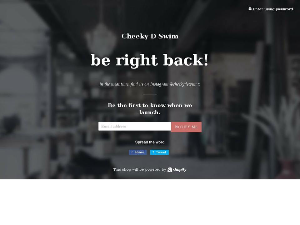 cheekydswim.com shopify website screenshot