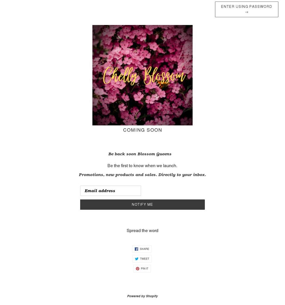 chellyblossom.com shopify website screenshot