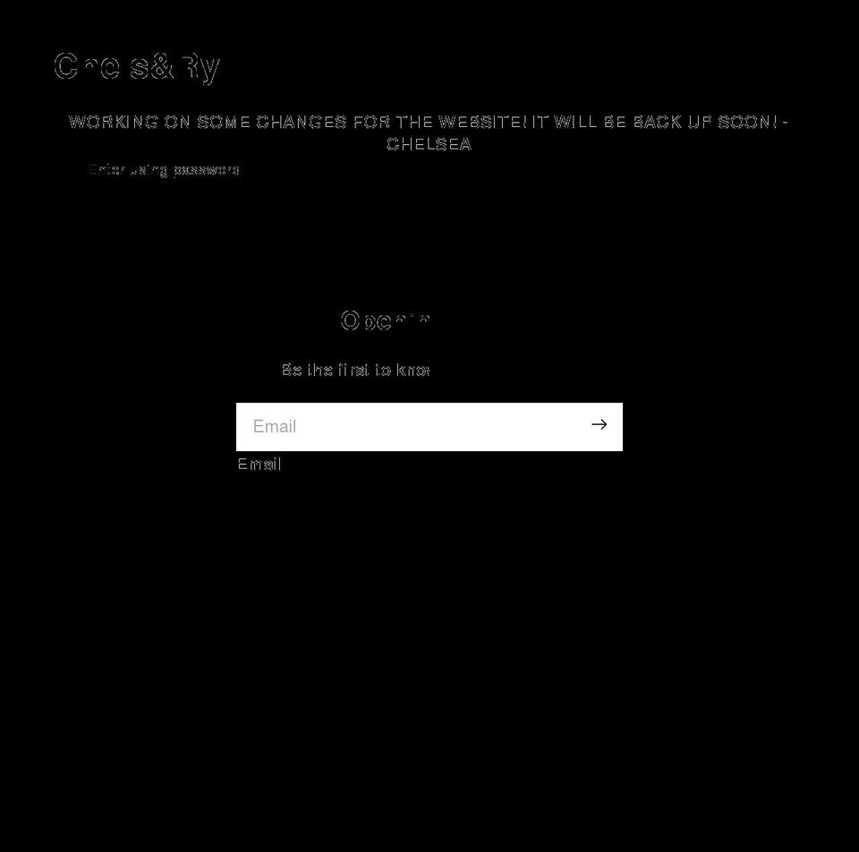 chelsandry.com shopify website screenshot