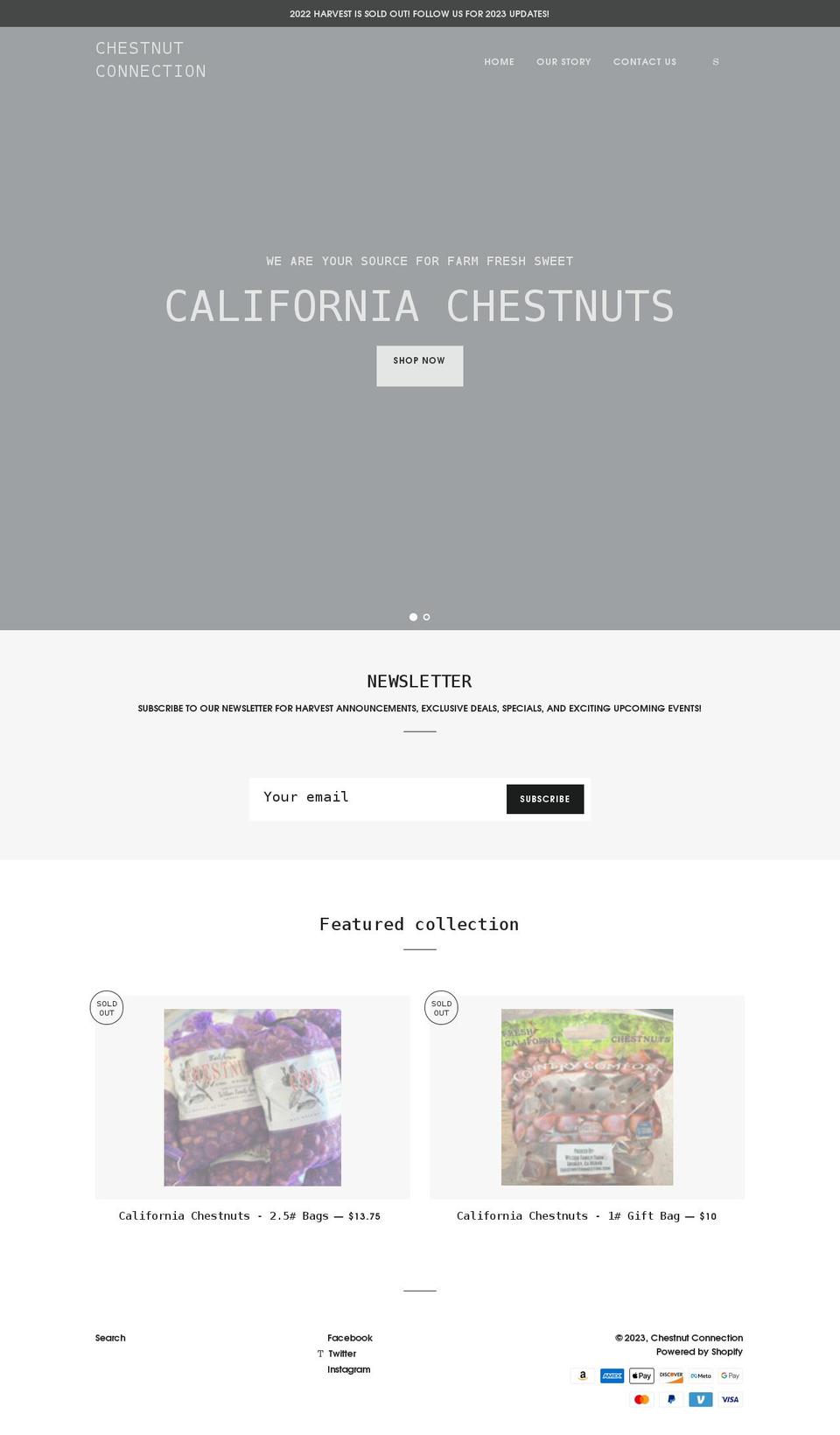 chestnutconnection.com shopify website screenshot