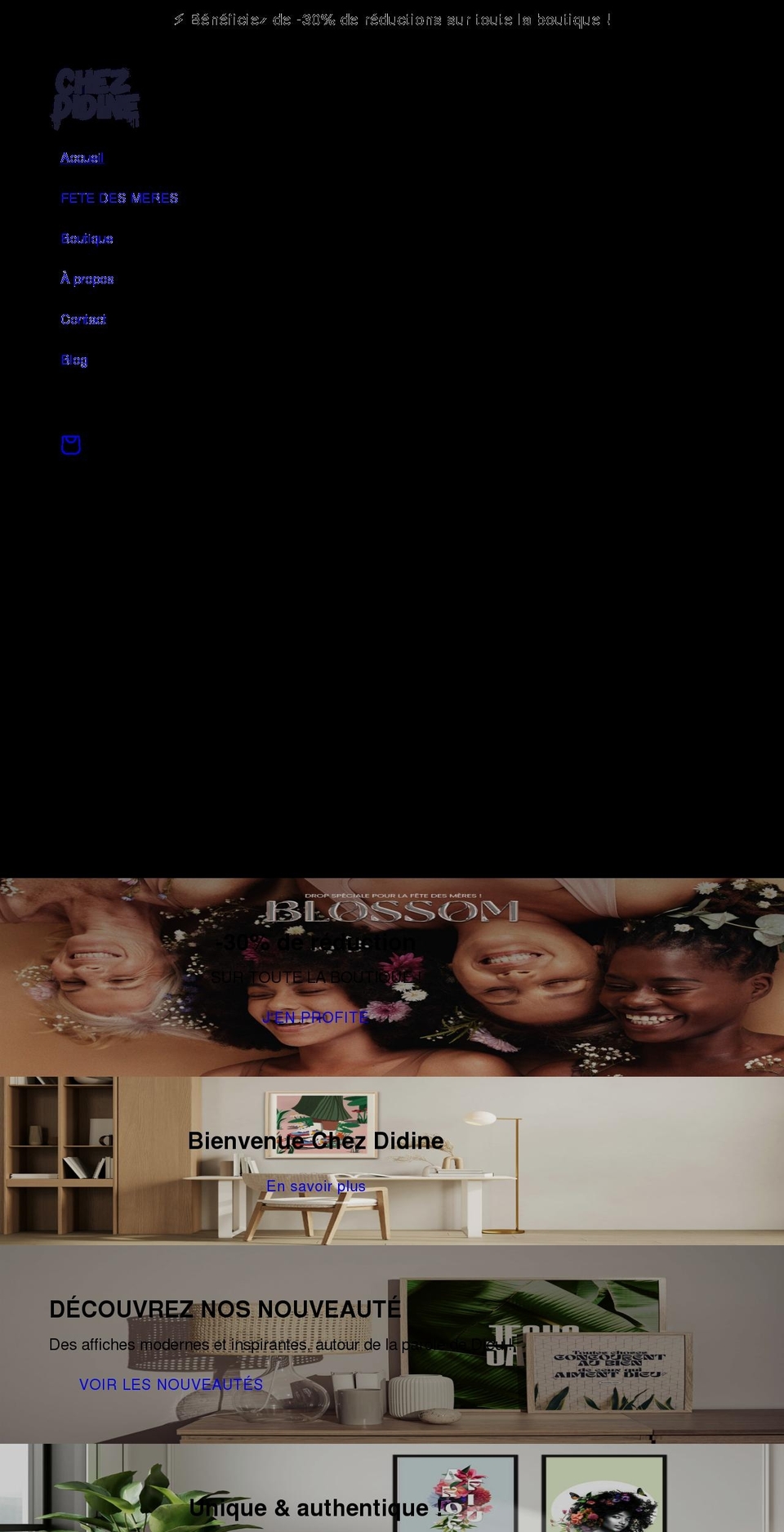 chezdidine.com shopify website screenshot
