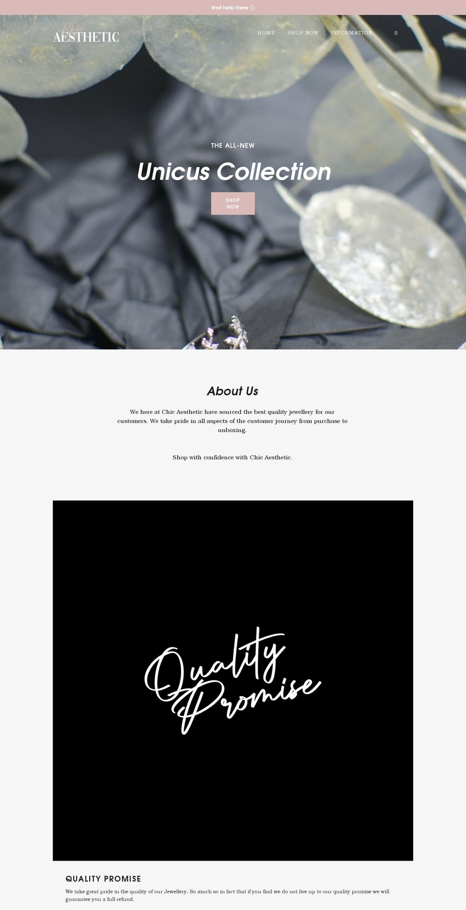 chicaesthetic.com shopify website screenshot