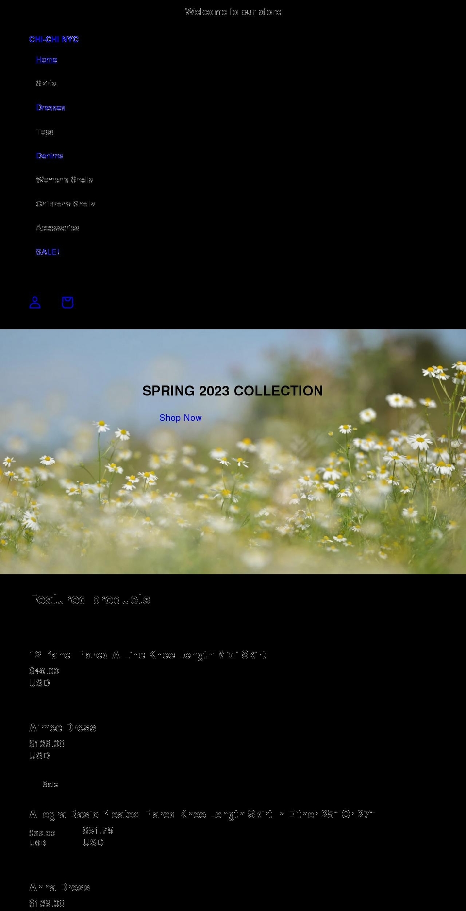 chichinyc.com shopify website screenshot