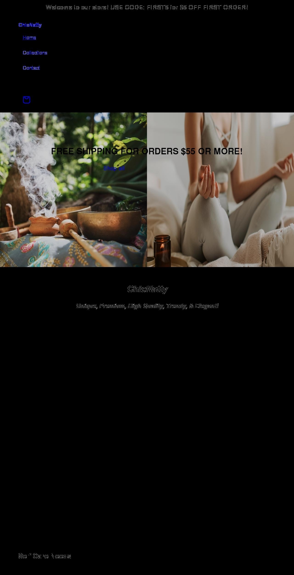 chicnatty.com shopify website screenshot