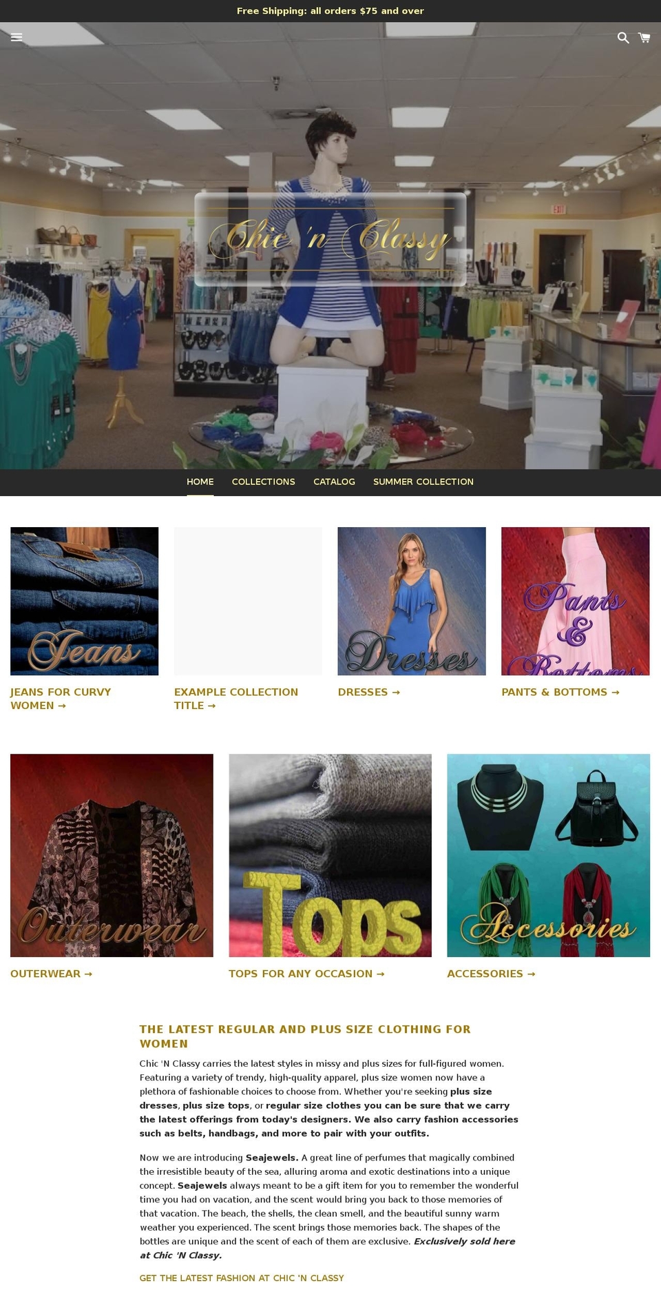 chicnclassy.org shopify website screenshot