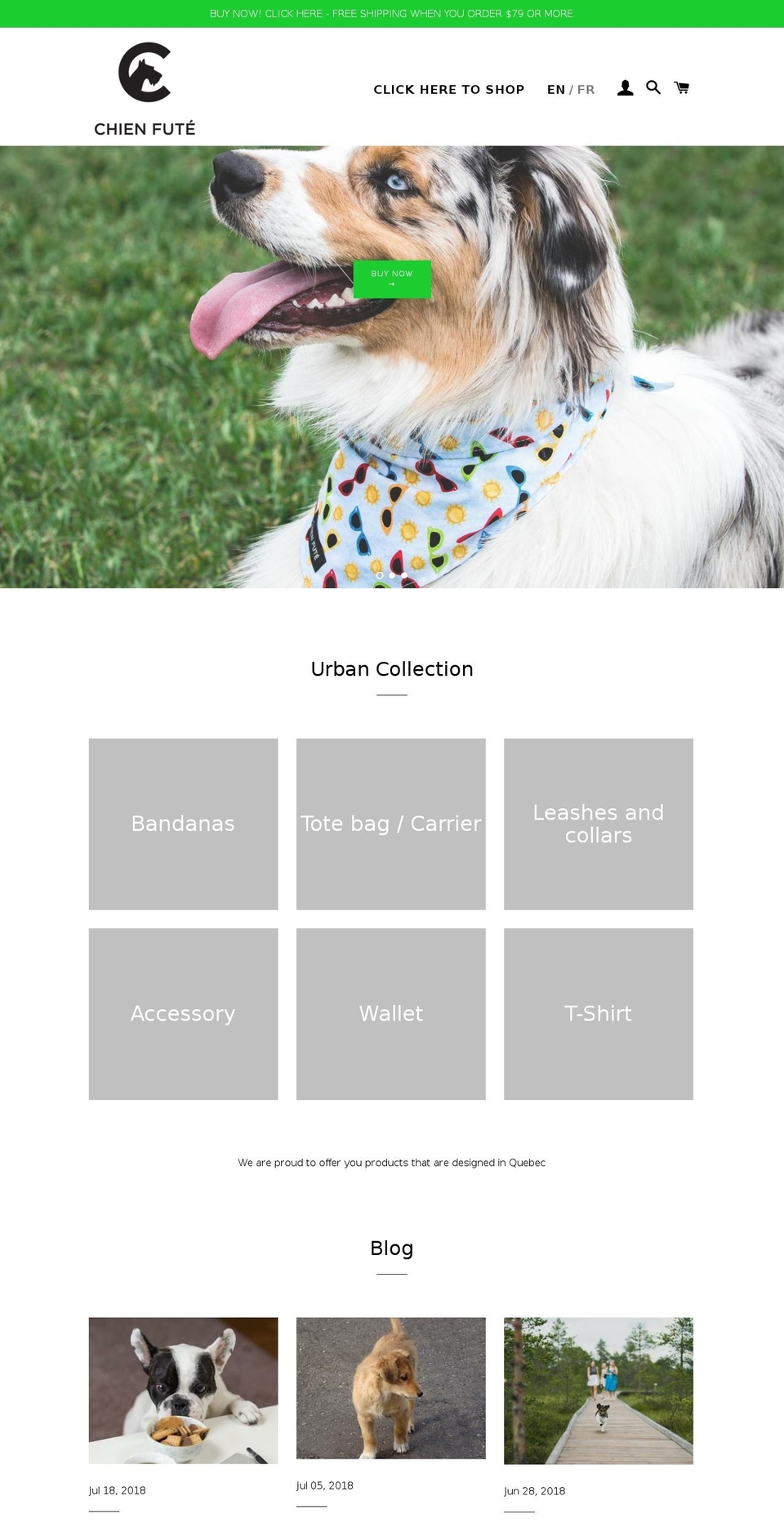 Dev - CF Theme - Juin 10 Shopify theme site example chienfute.net