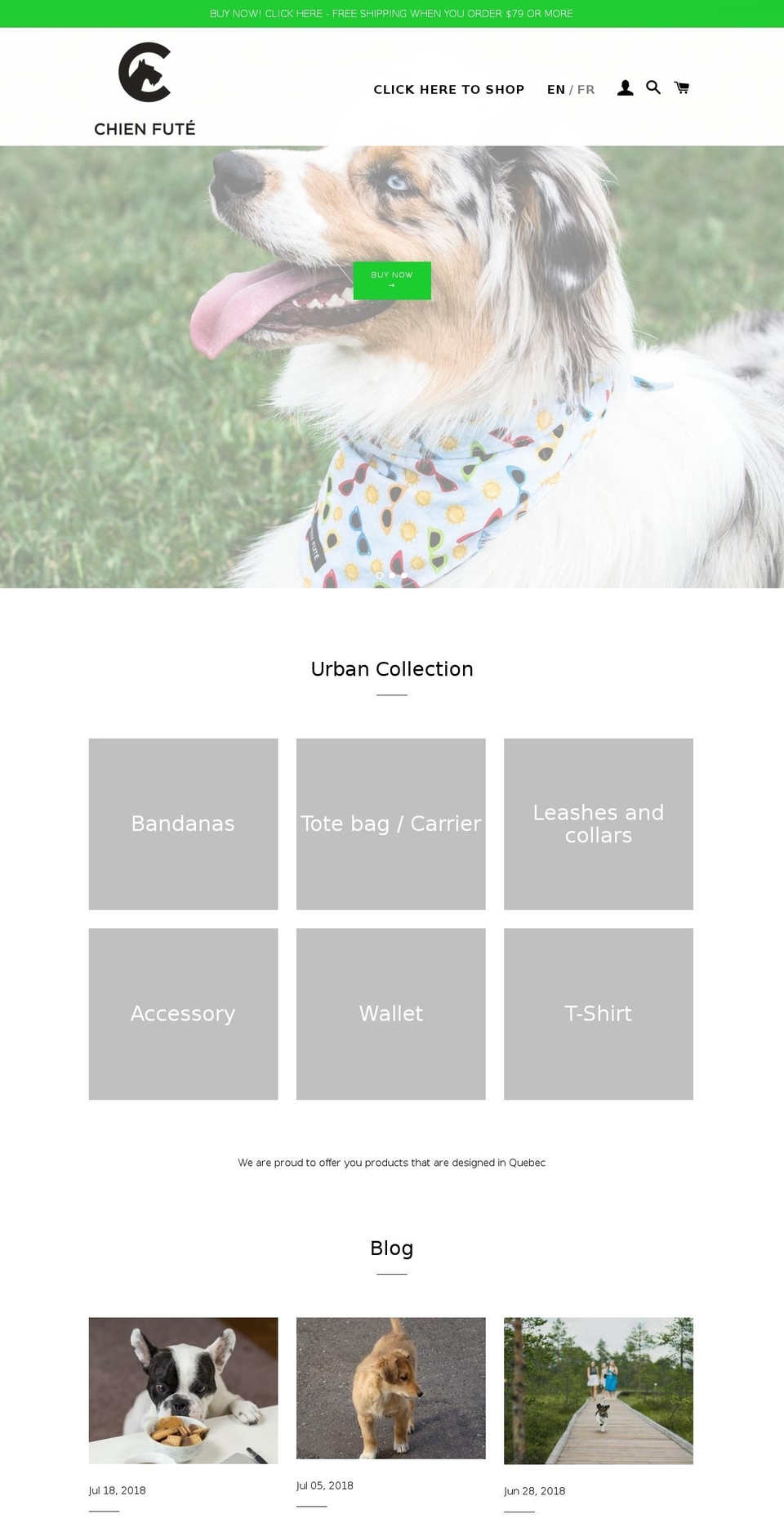 chienfute.org shopify website screenshot