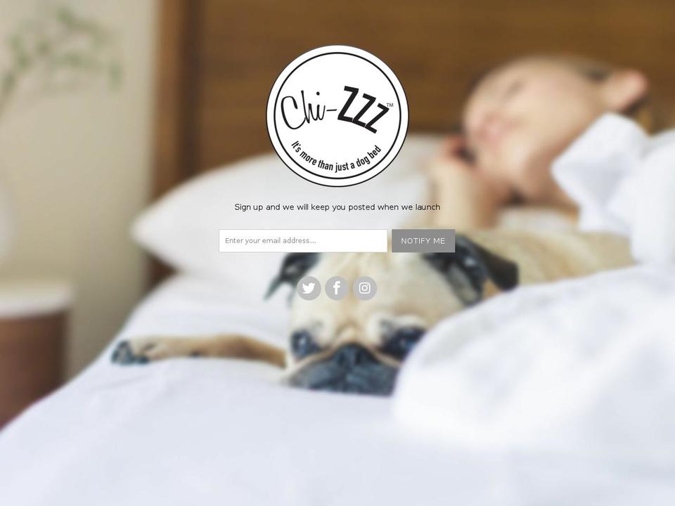 chizzz.com — Shopify storefront screenshot
