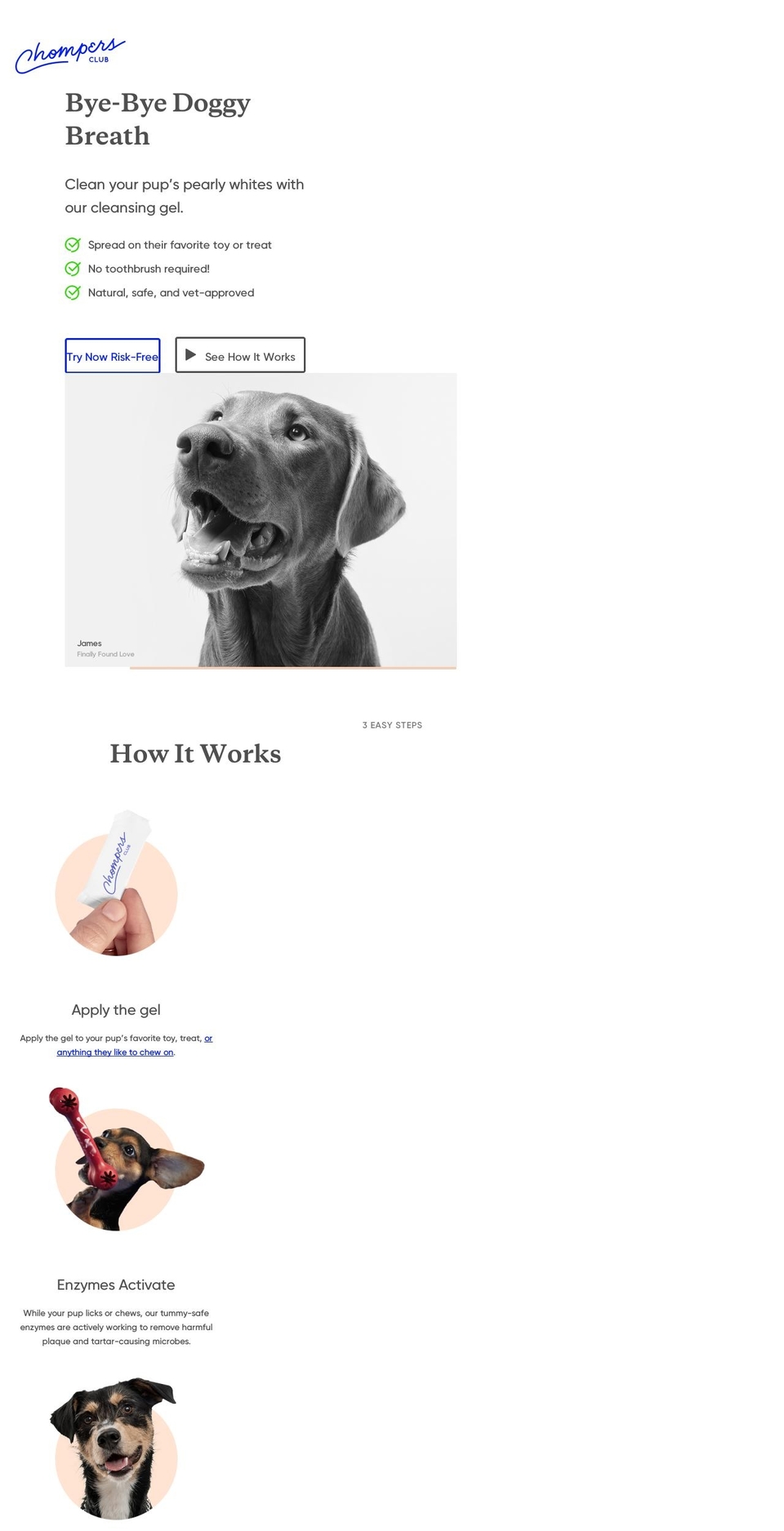 chompersclub.com — Shopify storefront screenshot