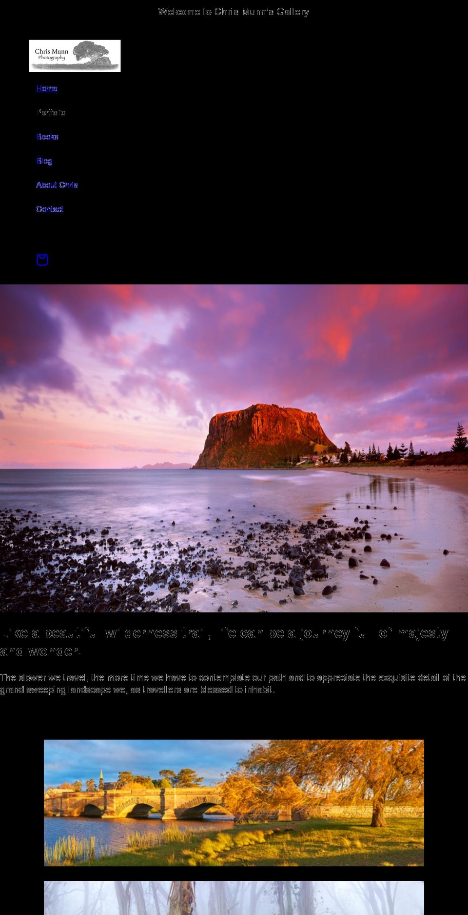 chrismunngallery.com shopify website screenshot