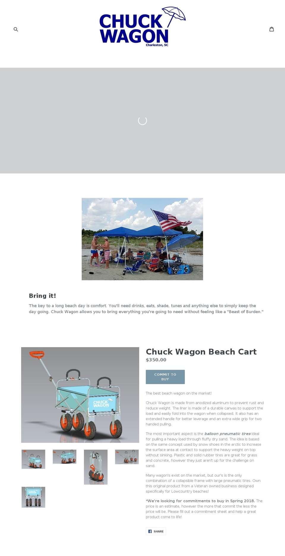 chswagon.com shopify website screenshot