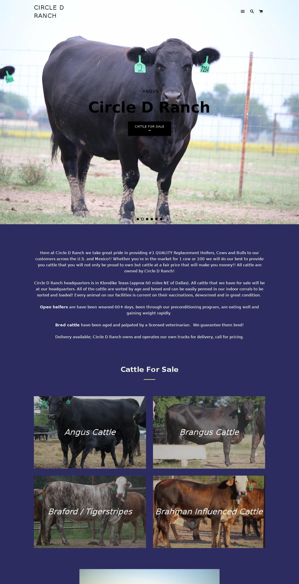 circle-d-ranch.com shopify website screenshot