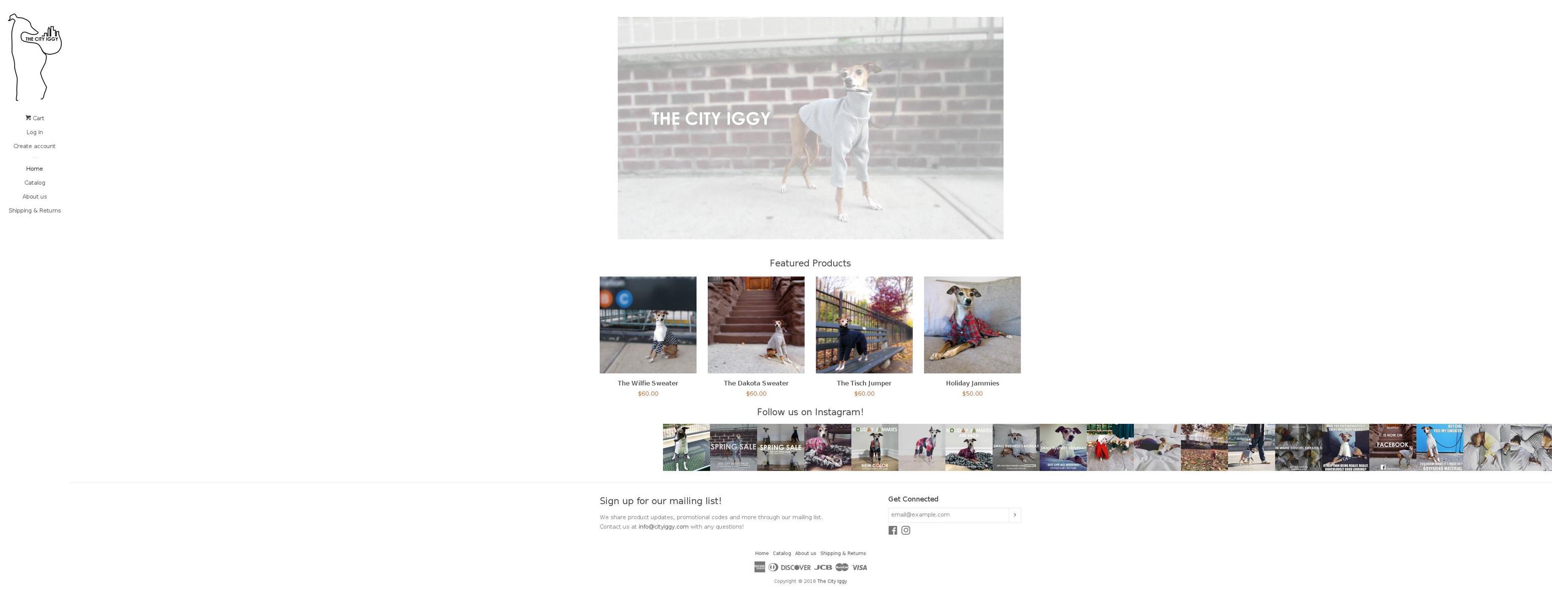 cityiggy.com — Shopify storefront screenshot
