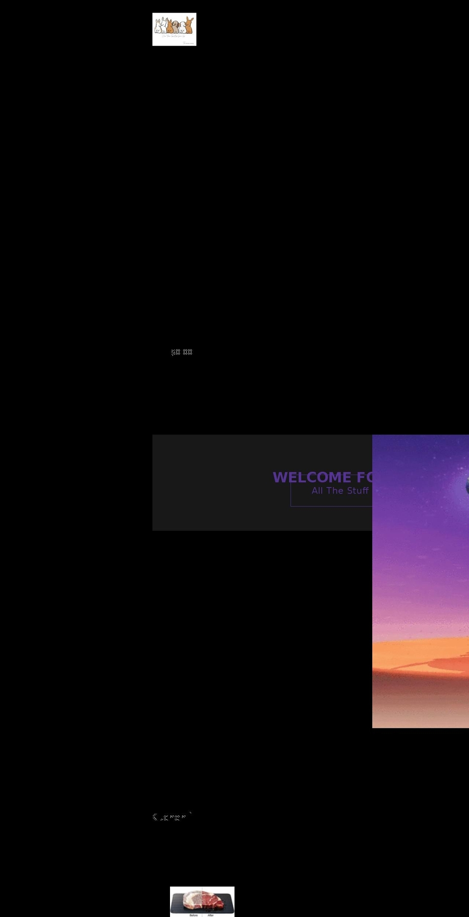 ciusky-gadget.com shopify website screenshot