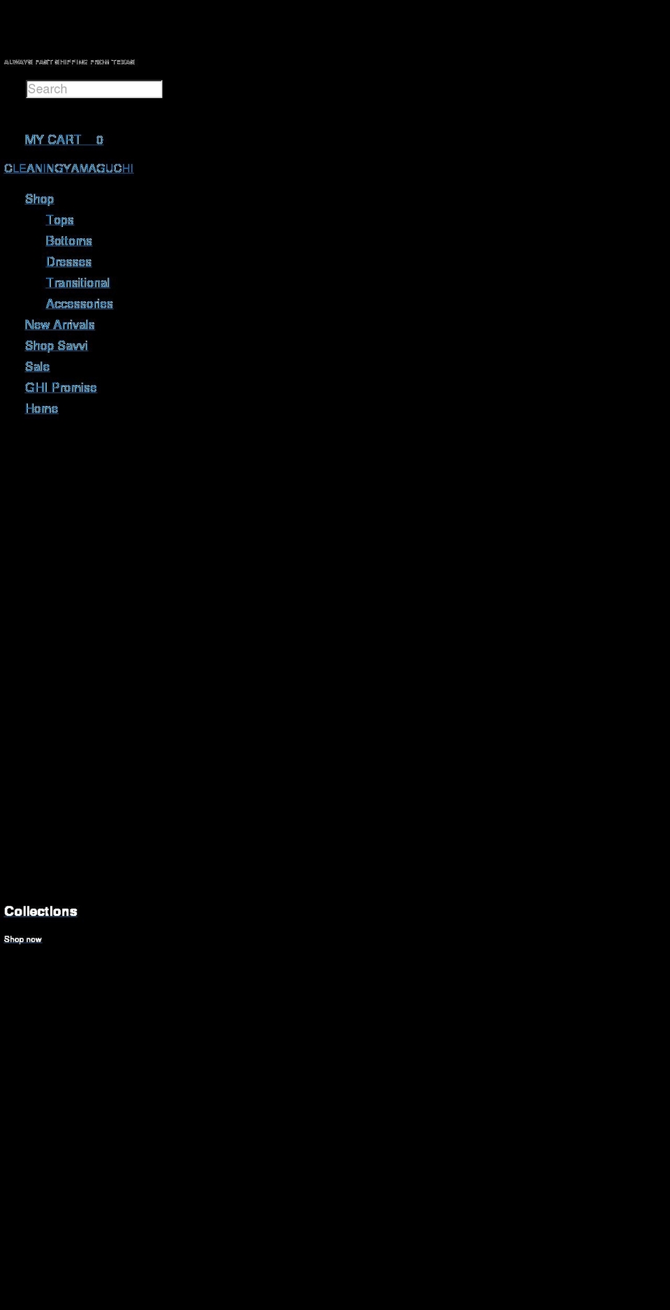 cleaningyamaguchi.com shopify website screenshot