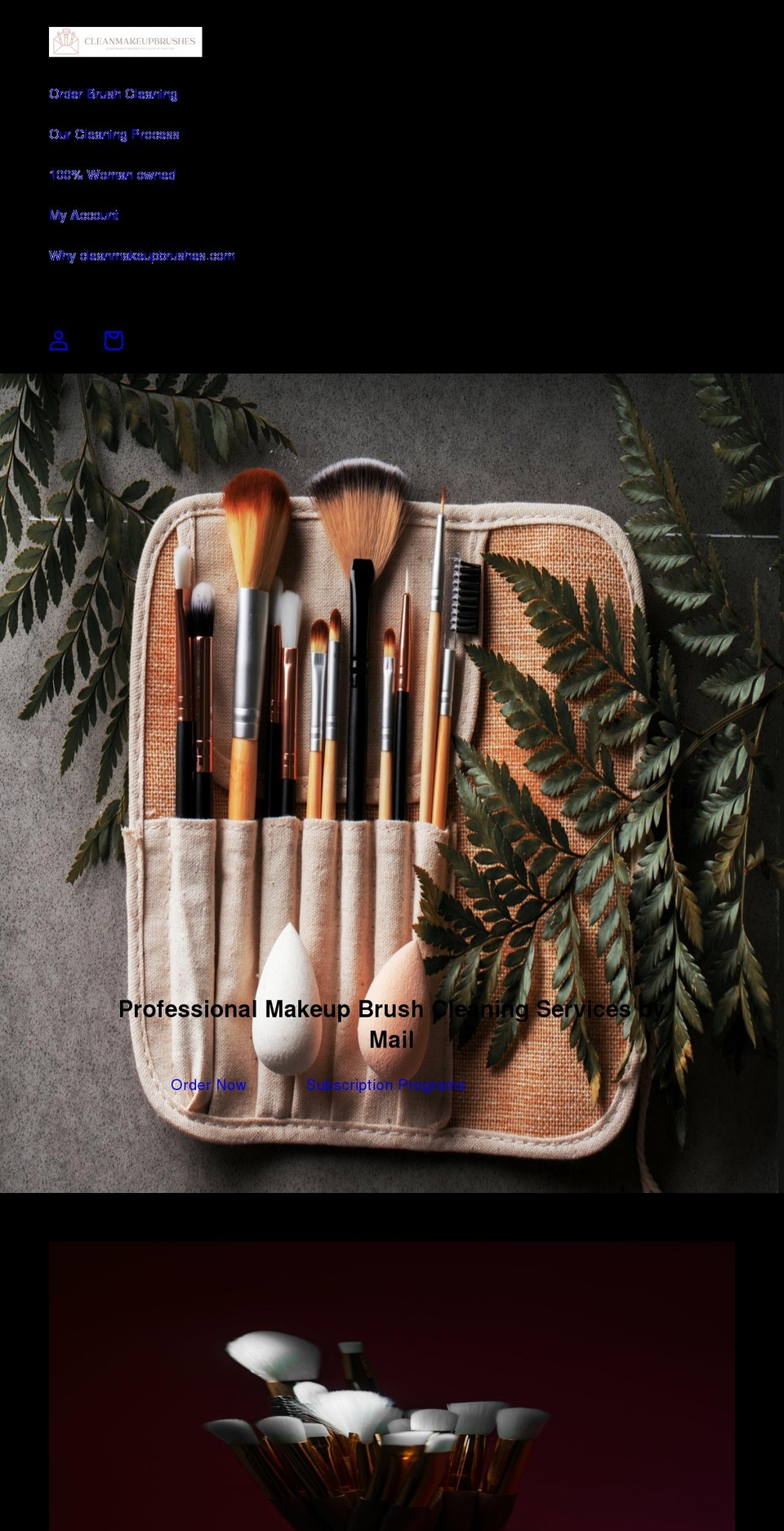 cleanmakeupbrushes.com shopify website screenshot