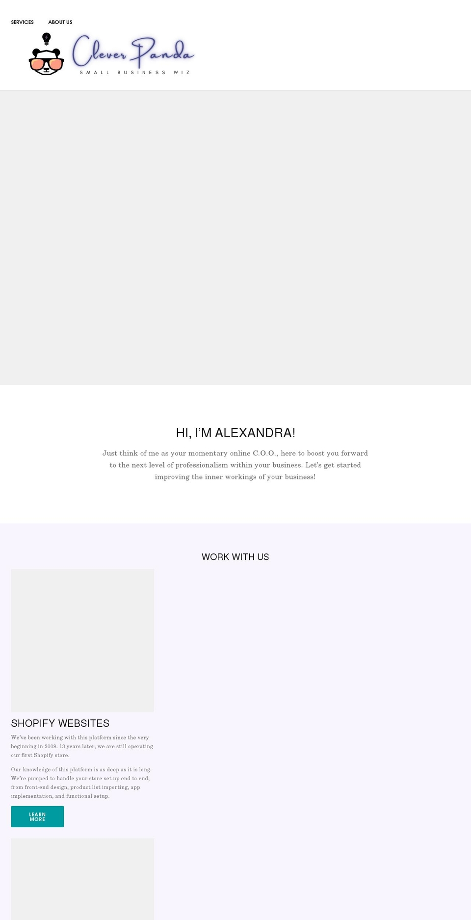 clever-panda.com shopify website screenshot