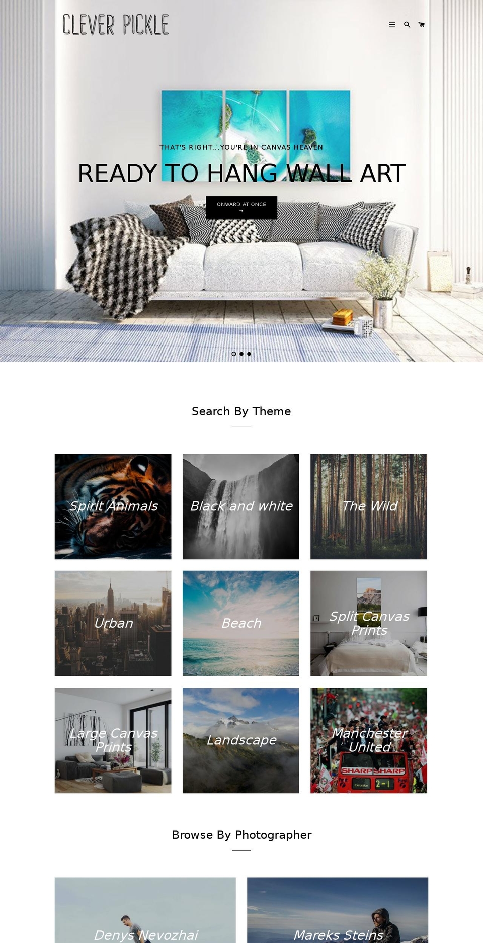 cleverpickle.com shopify website screenshot