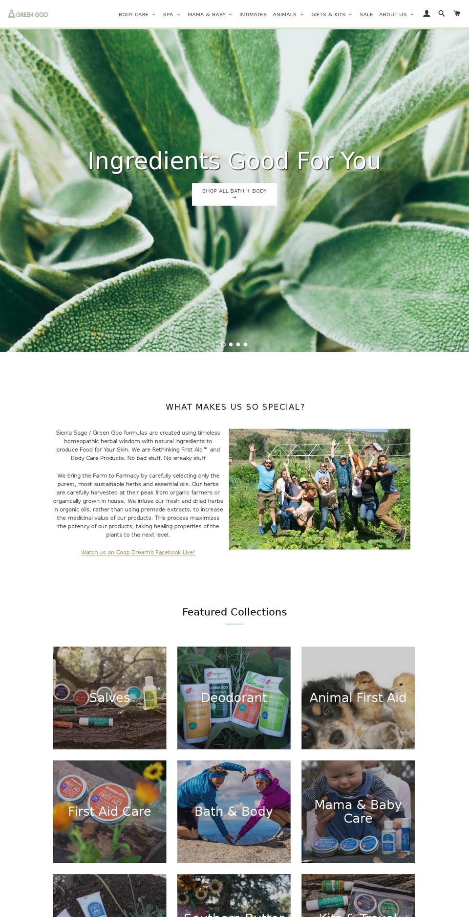 climbingsalve.com shopify website screenshot