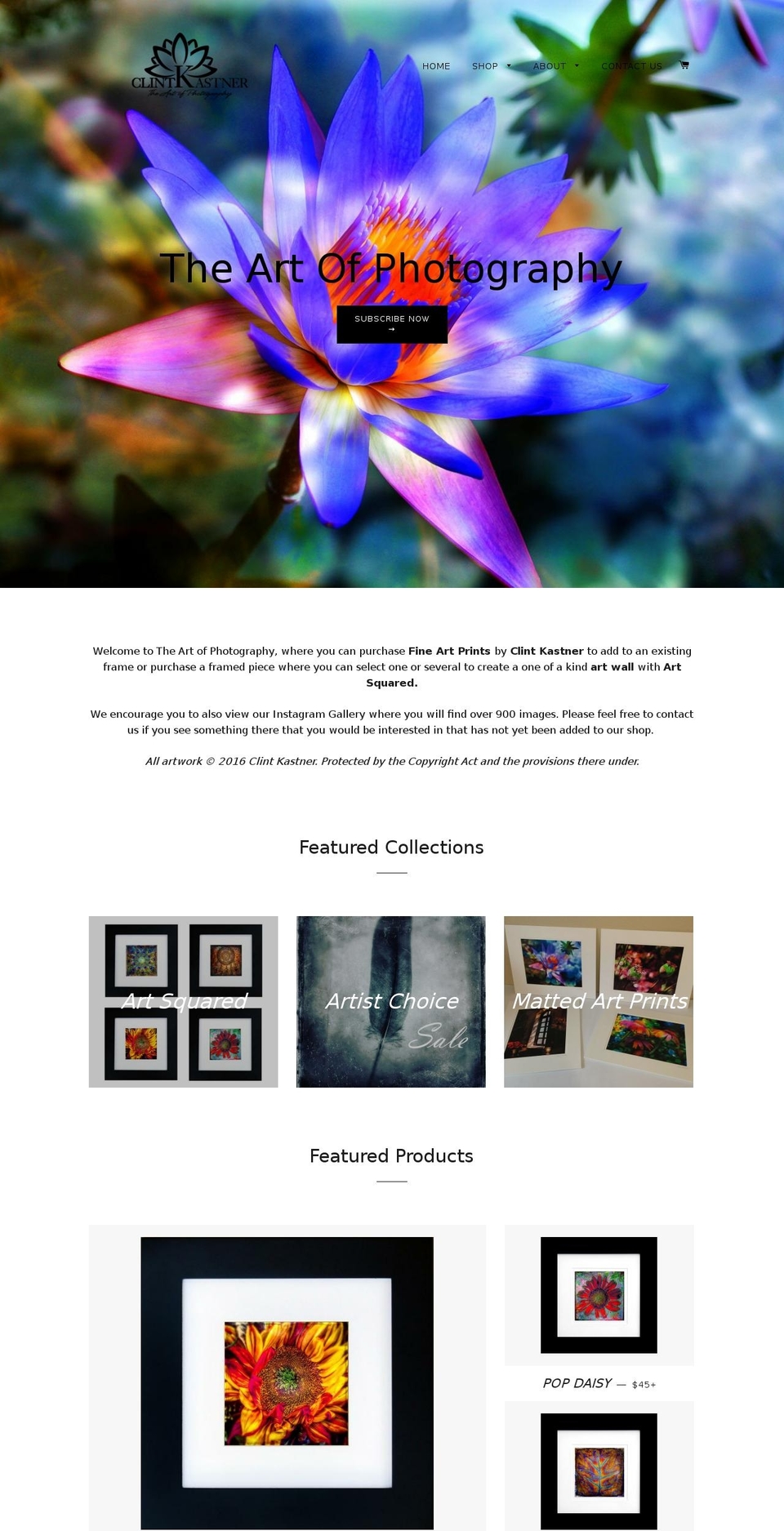 clintkastner.com — Shopify storefront screenshot