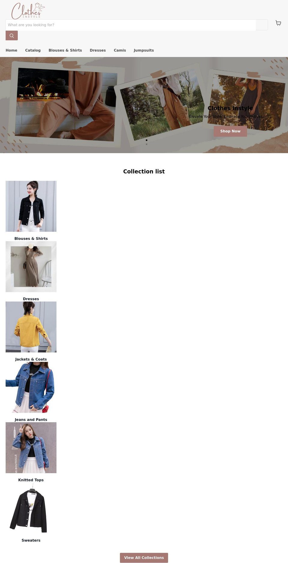 clothesinstyle.com shopify website screenshot