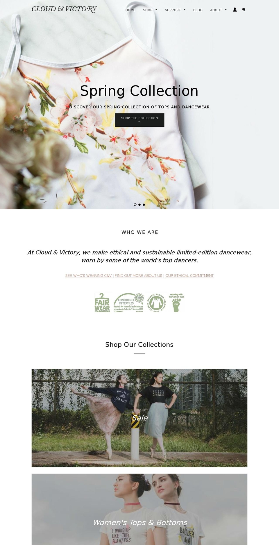 cloudandvictory.com shopify website screenshot