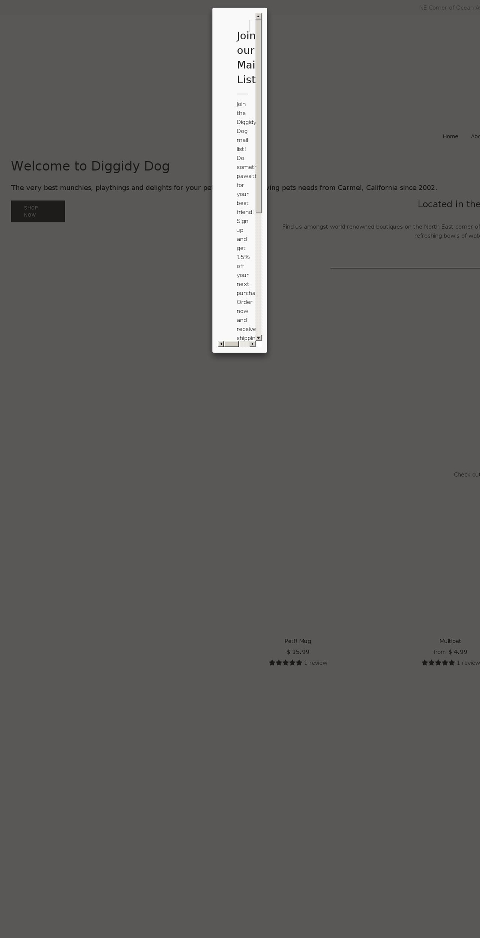 clubdiggidy.com — Shopify storefront screenshot