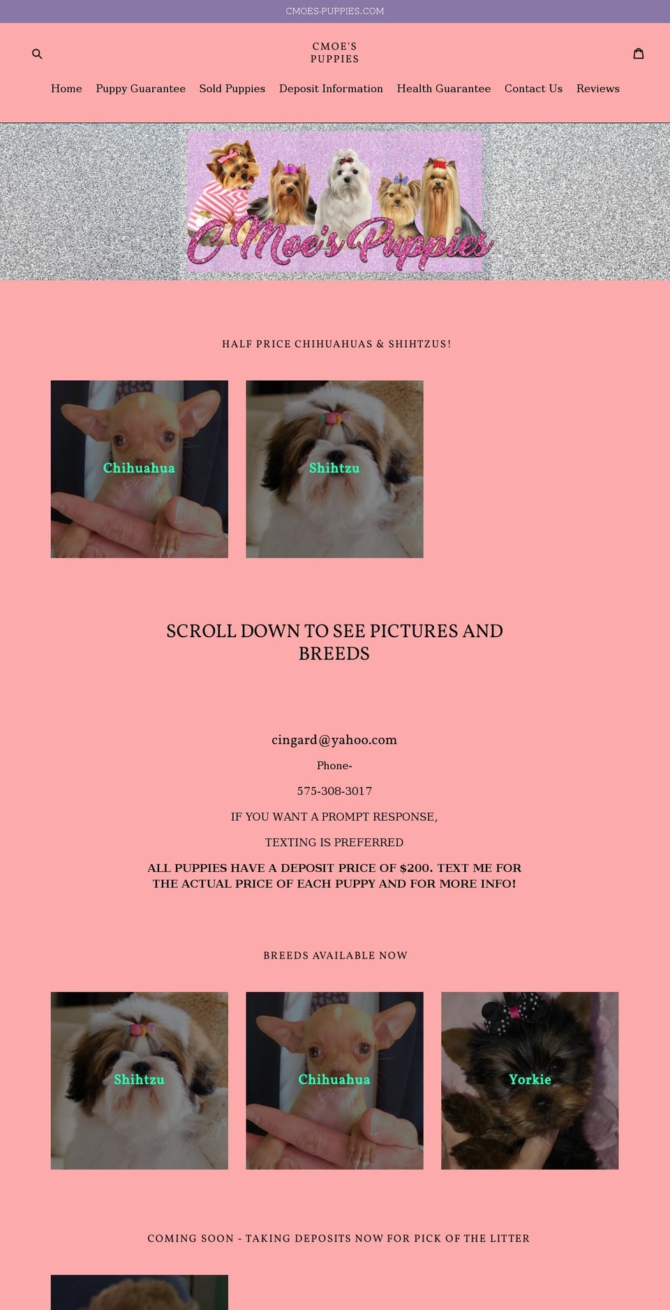 cmoes-puppies.com — Shopify storefront screenshot