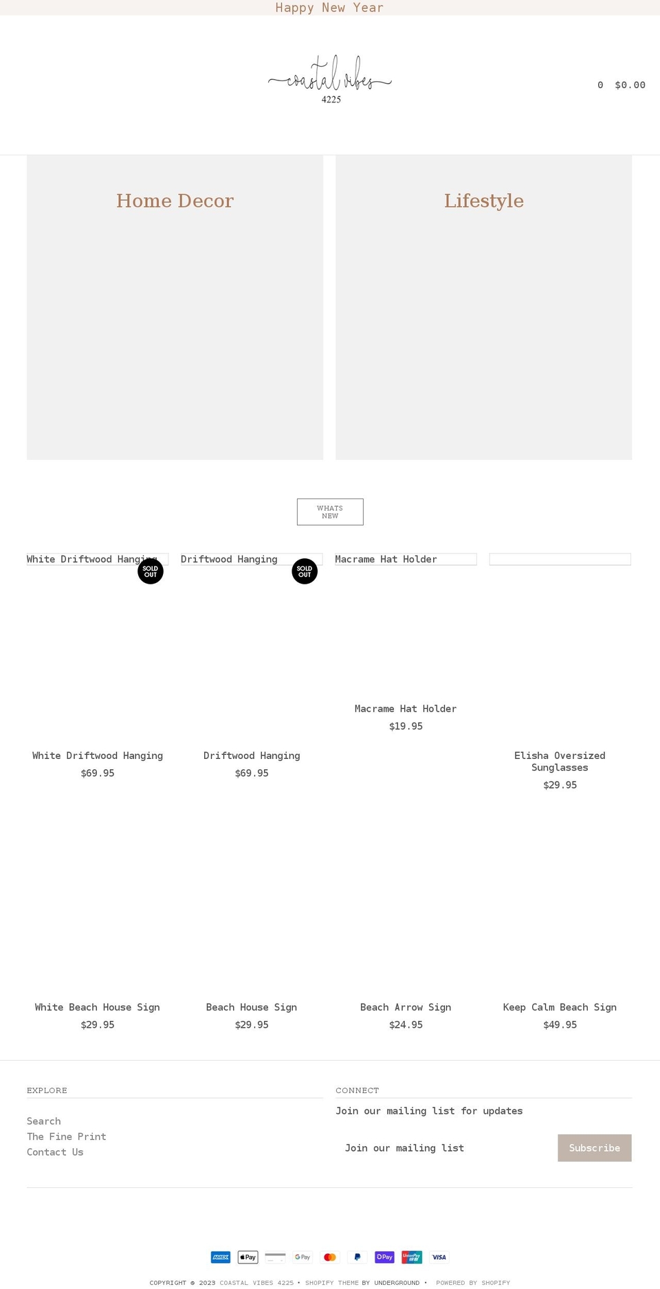 coastalvibes4225.com shopify website screenshot