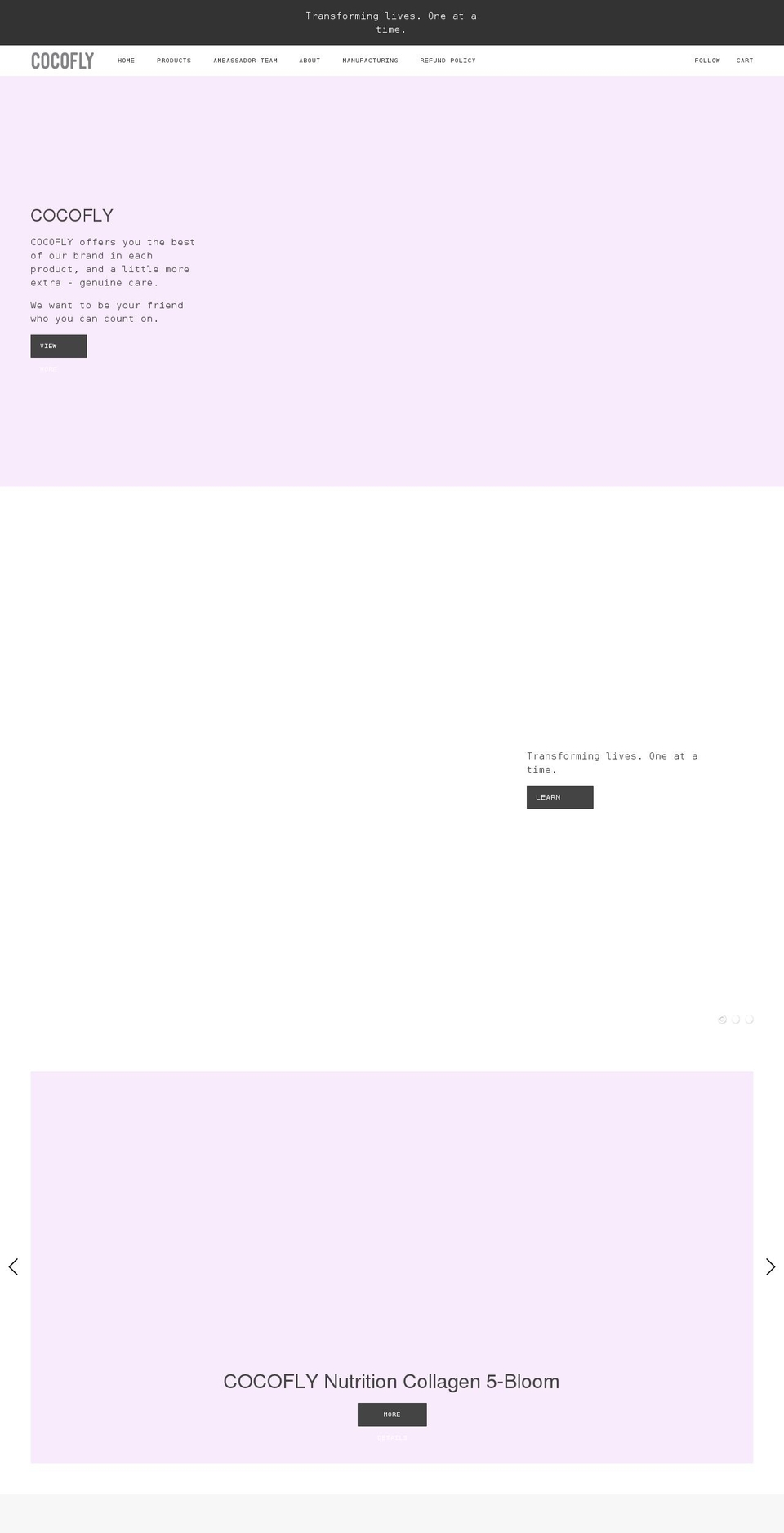 coco-fly.com shopify website screenshot