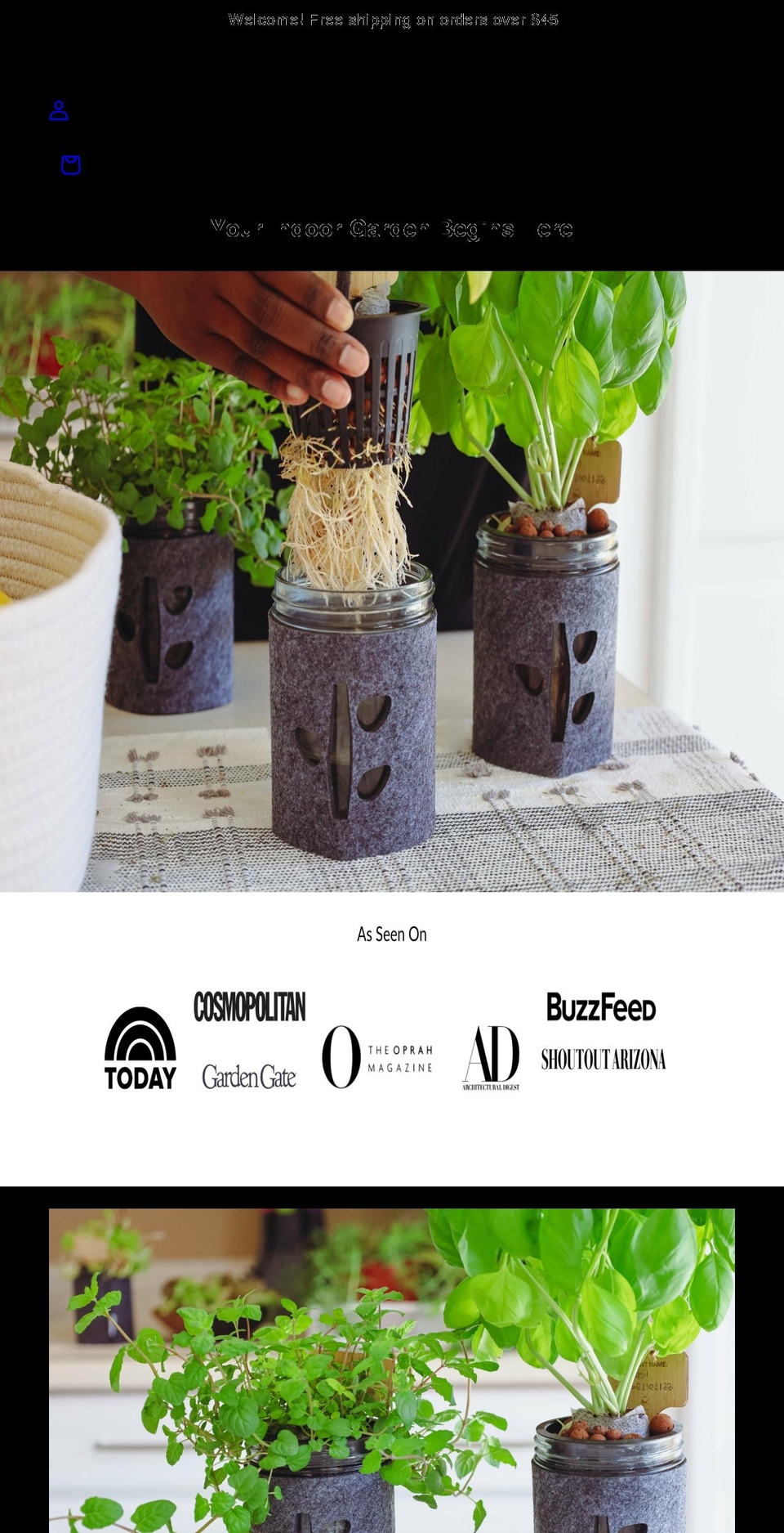 cocoandseed.com shopify website screenshot