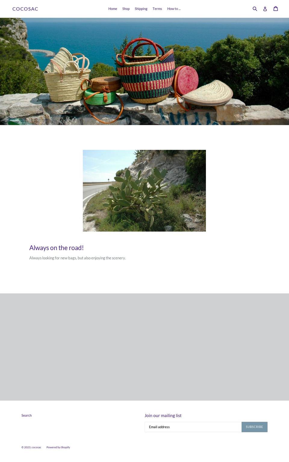 cocosac.com — Shopify storefront screenshot