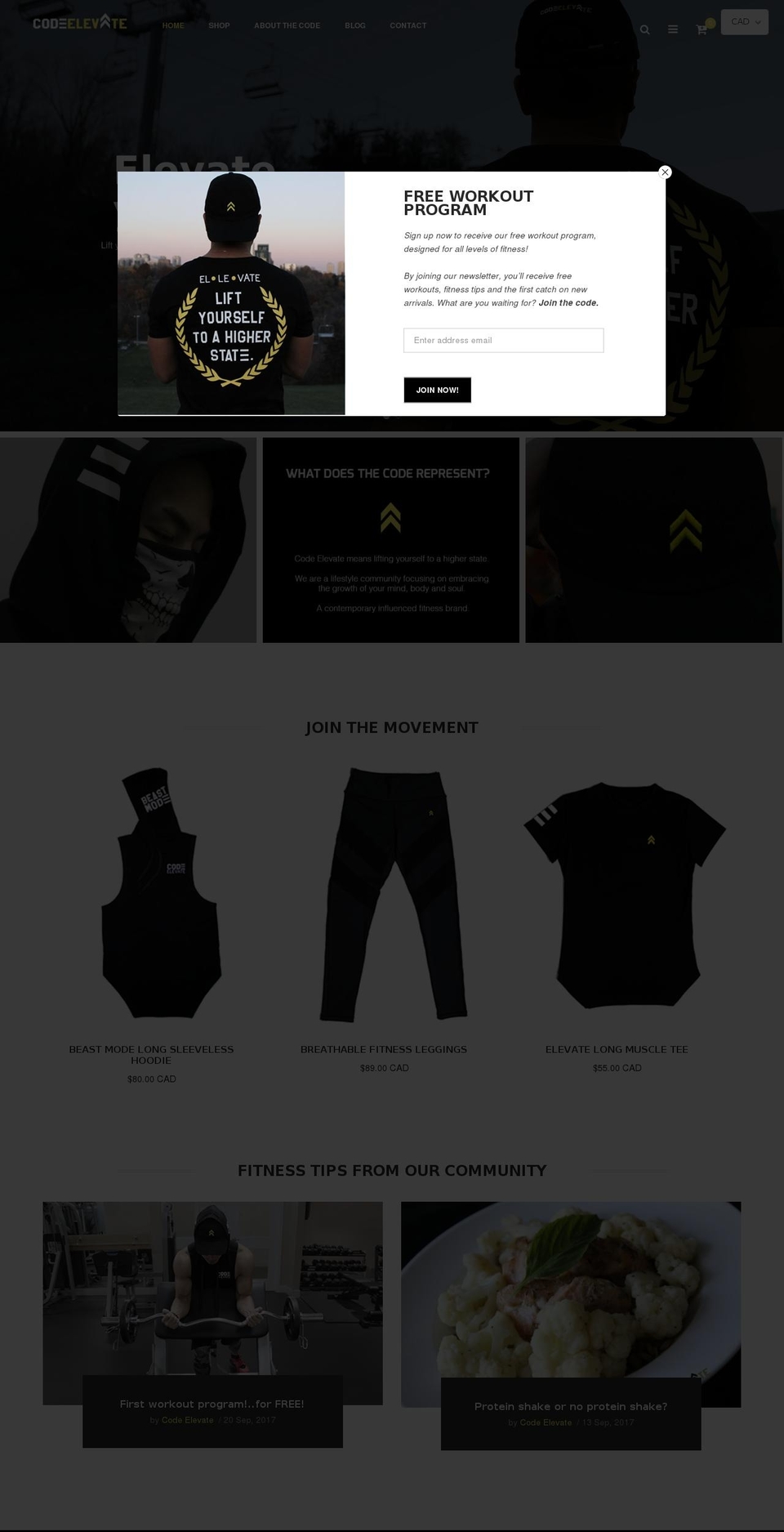 orise-home2 Shopify theme site example codeelevate.com