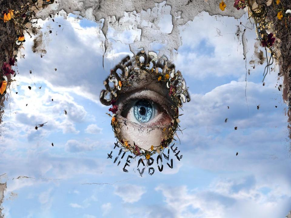 codeorangetoth.com shopify website screenshot