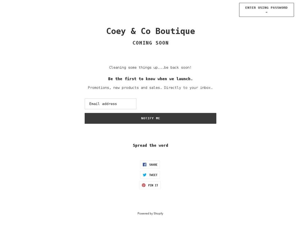 coeyandcoboutique.com shopify website screenshot