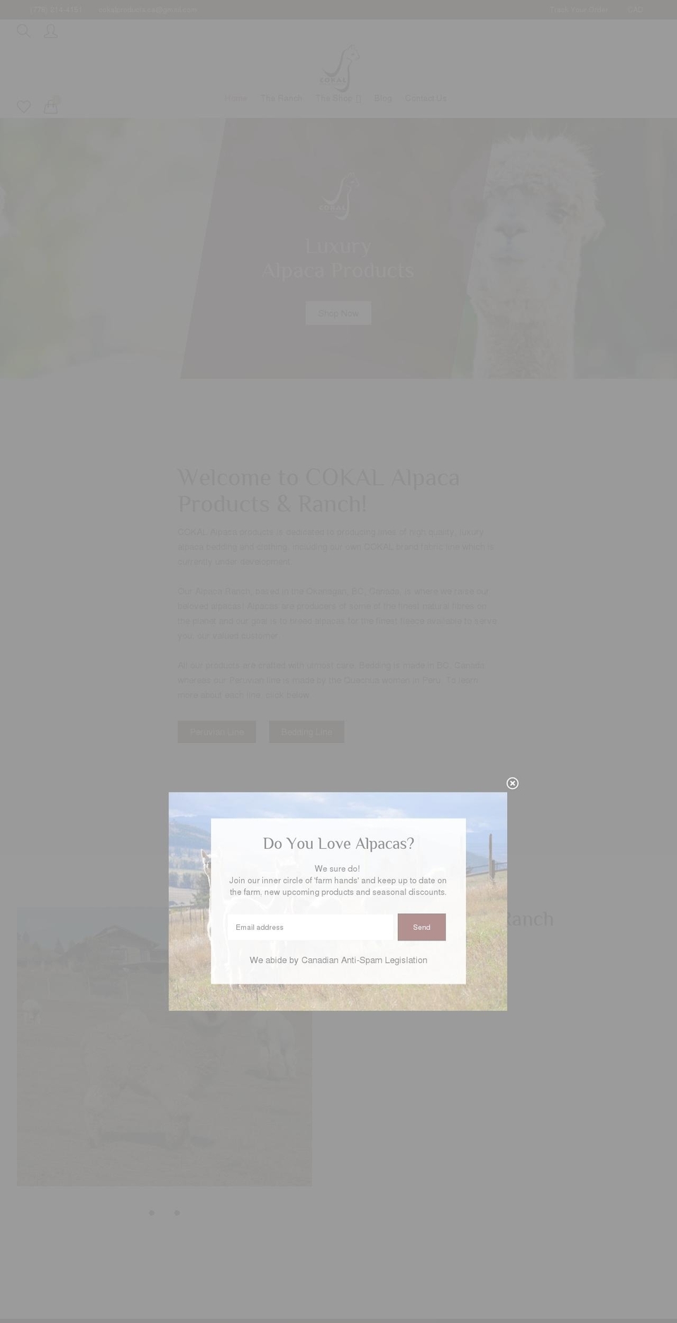 cokal.ca shopify website screenshot