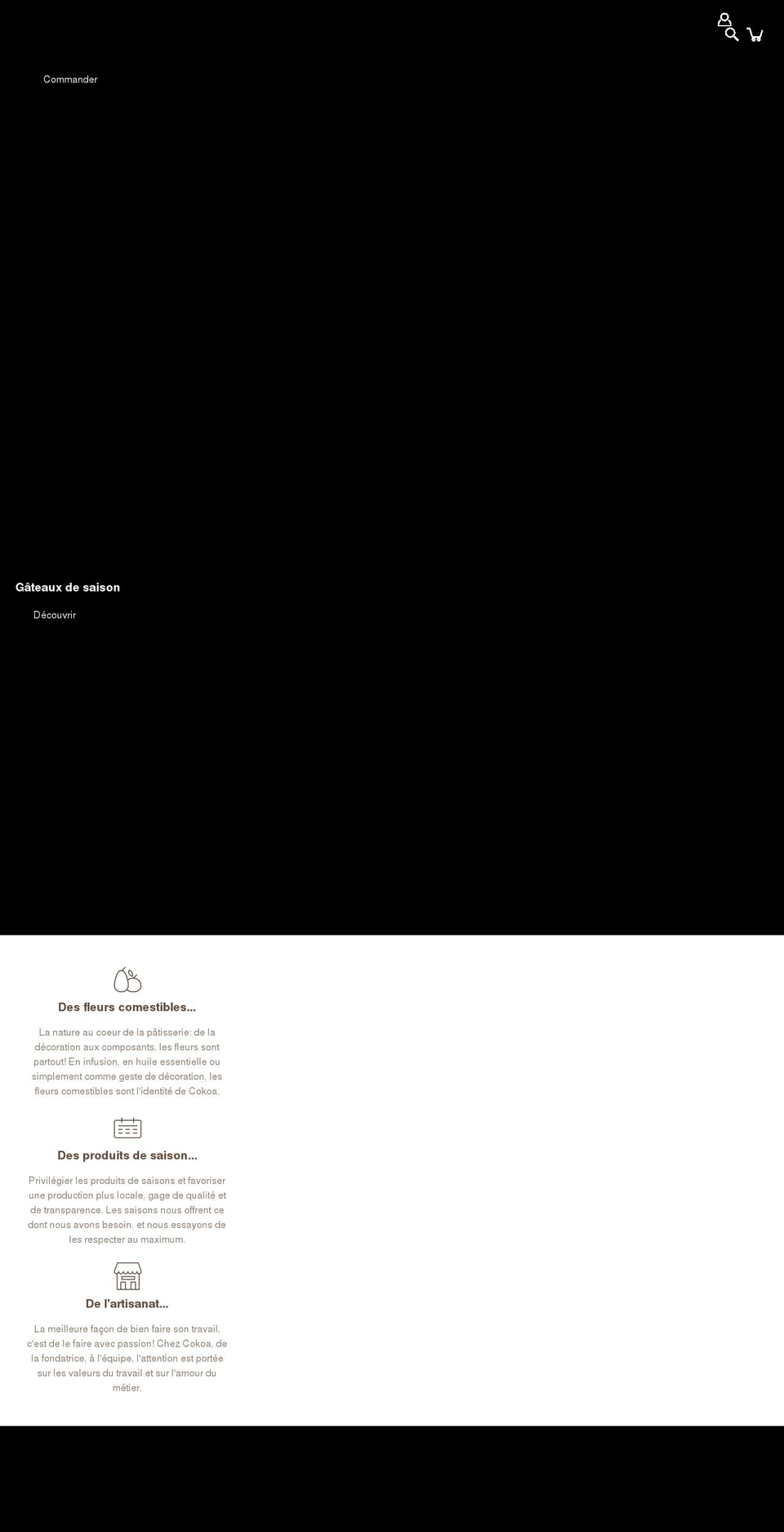 cokoa.be shopify website screenshot