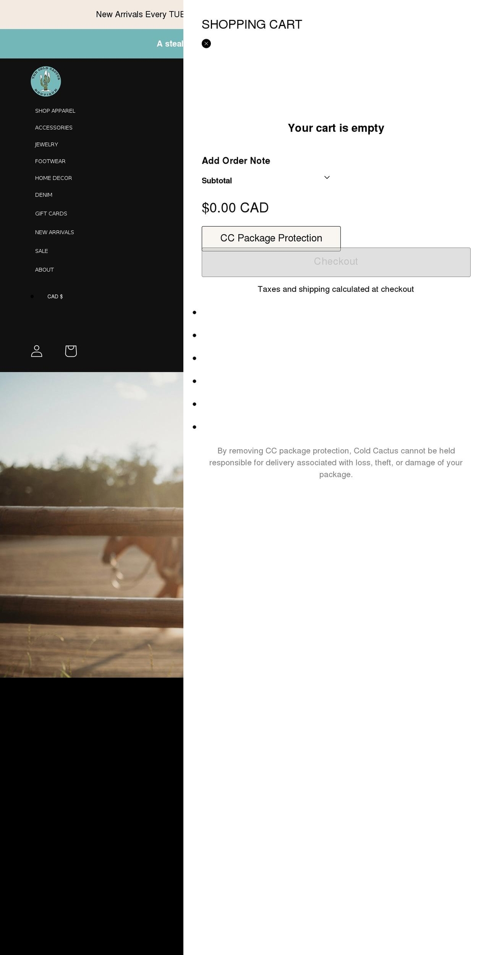 coldcactusboutique.ca shopify website screenshot