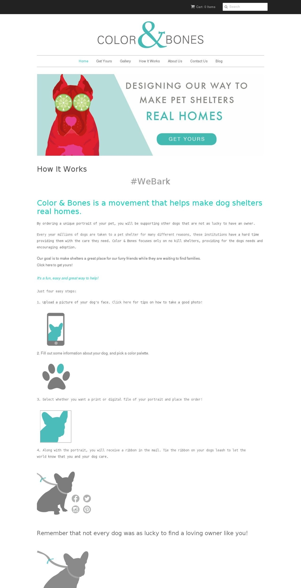 colorandbones.com — Shopify storefront screenshot