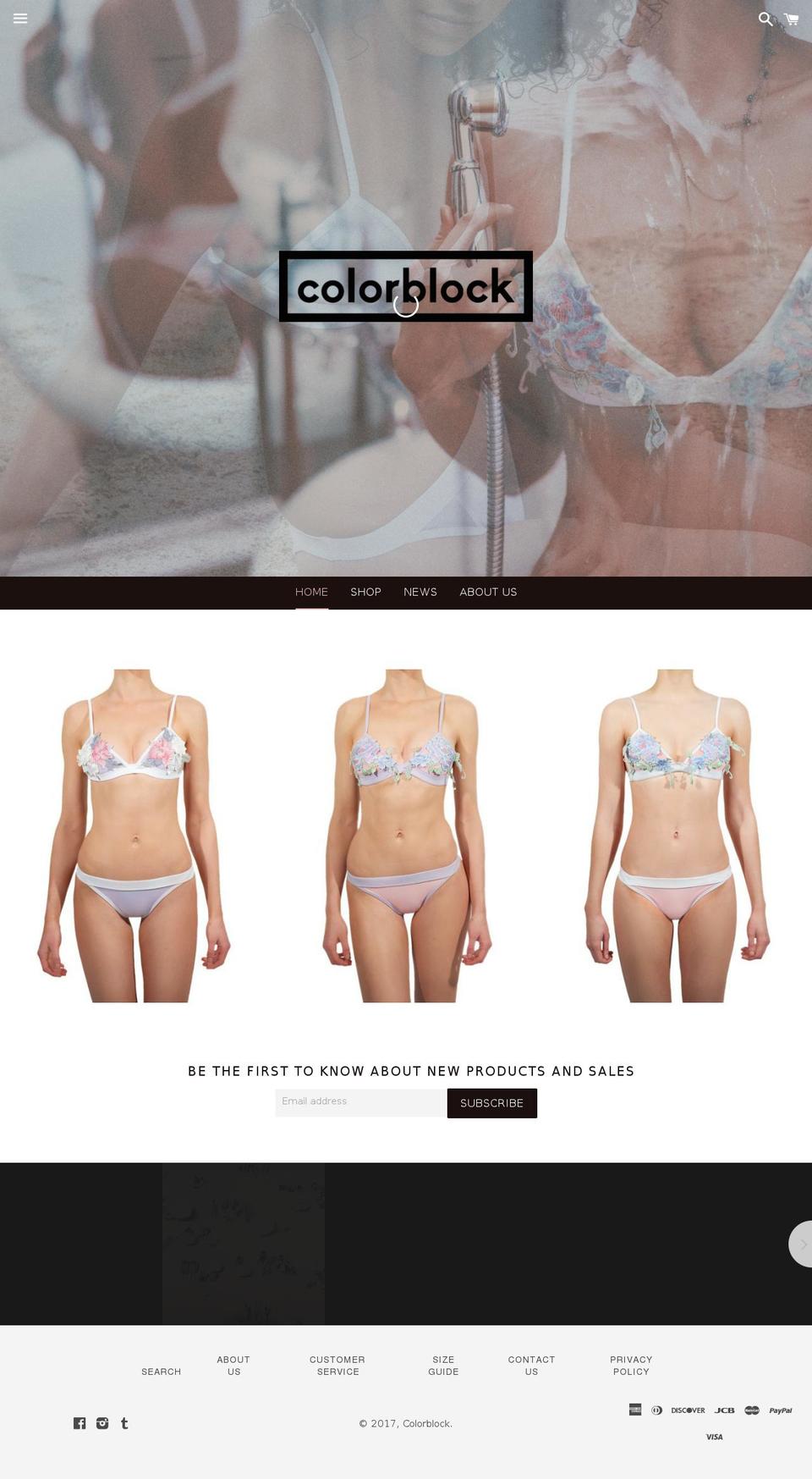 colorblockswim.com shopify website screenshot