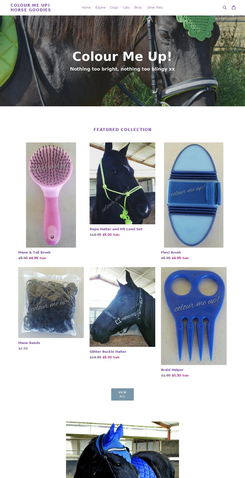 colourmeuphorsegoodies.net shopify website screenshot