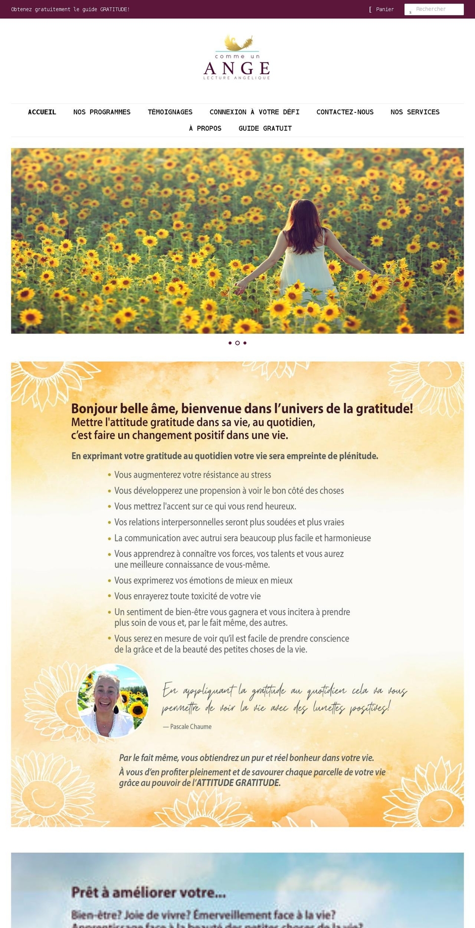 commeunange.ca shopify website screenshot